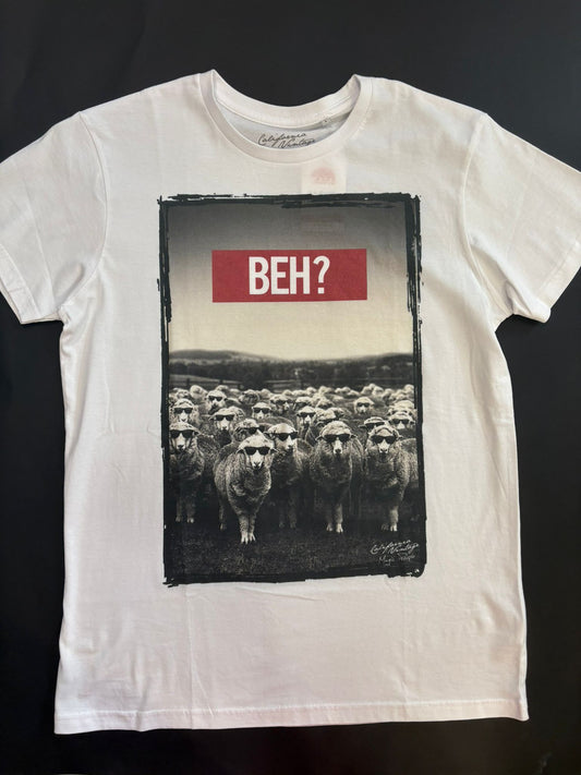 T-Shirt BEH?